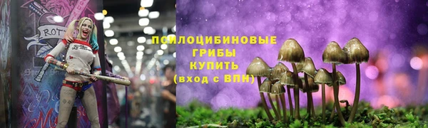 MDMA Premium VHQ Аркадак