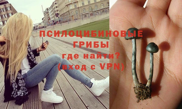 бошки Краснослободск