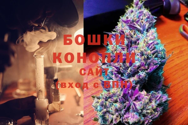 ешки Арсеньев